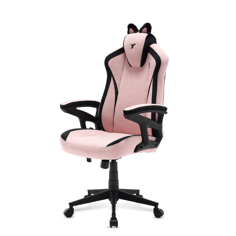 เก้าอี้เกมมิ่ง TTRacing Duo V4 ผ้า KittyPuff Edition